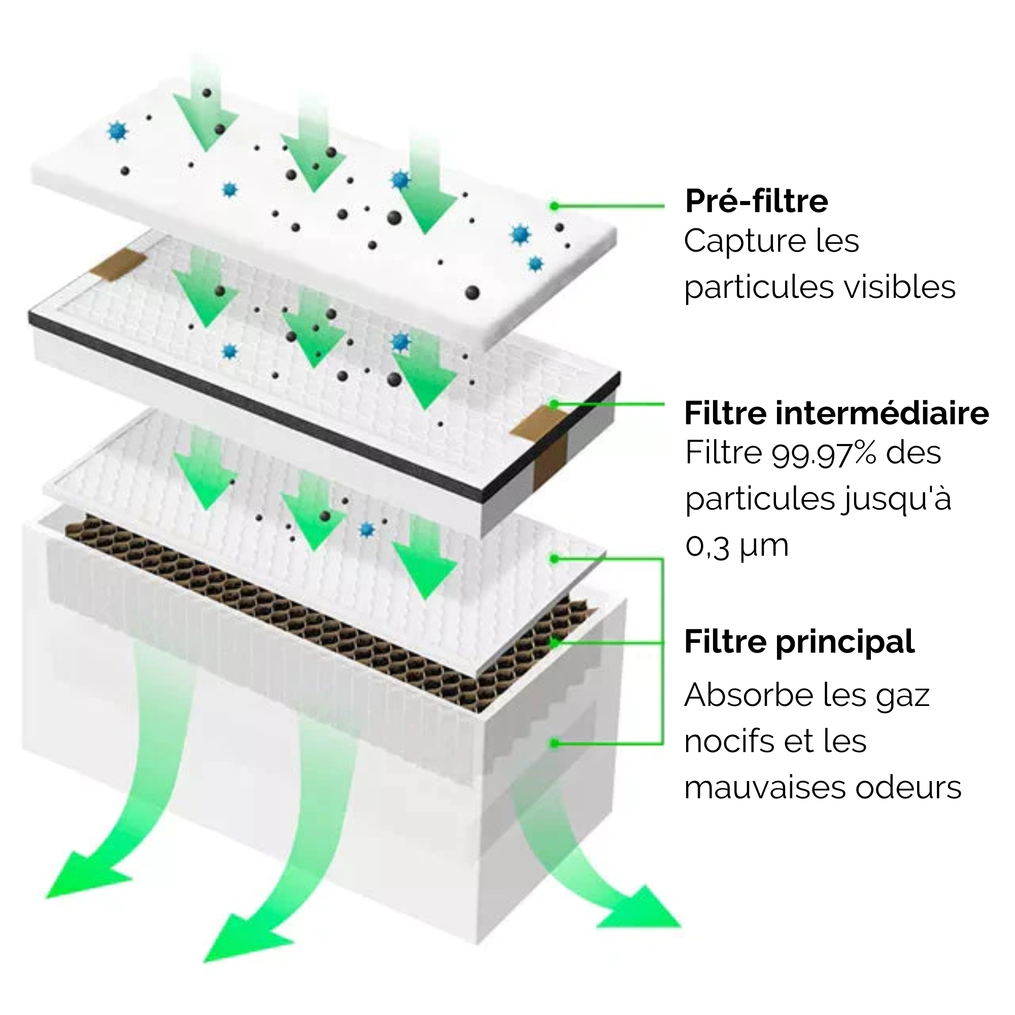 Filtres de remplacement pour gainable (par lot de 2)